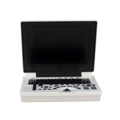 품질  Clinic Doppler Portable Veterinary Ultrasound Machine Li Battery For Dog 공장