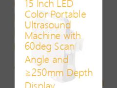 15인치 LED 컬러 휴대용 초음파 기계, 60도 스캔 각도 및 ≥250mm 깊이 표시