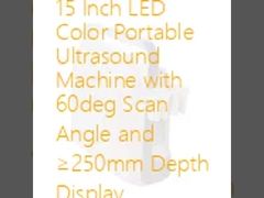 15인치 LED 컬러 휴대용 초음파 기계, 60도 스캔 각도 및 ≥250mm 깊이 표시